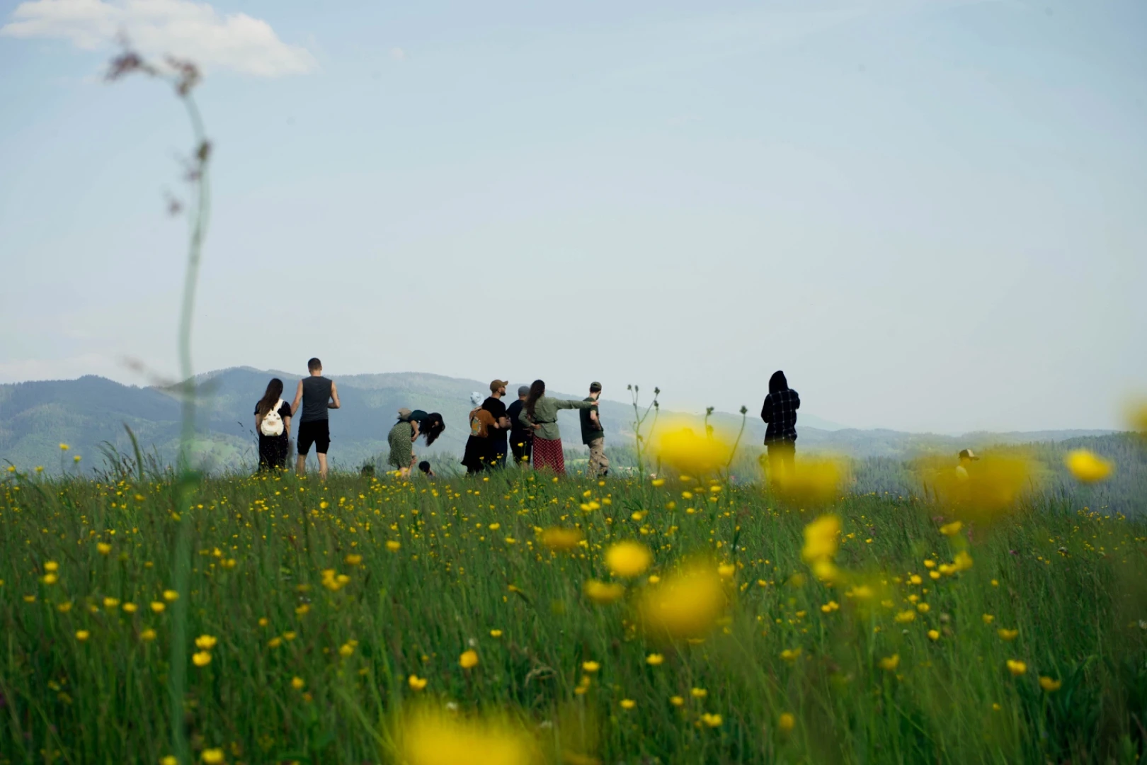 A group walking through a mountain meadow